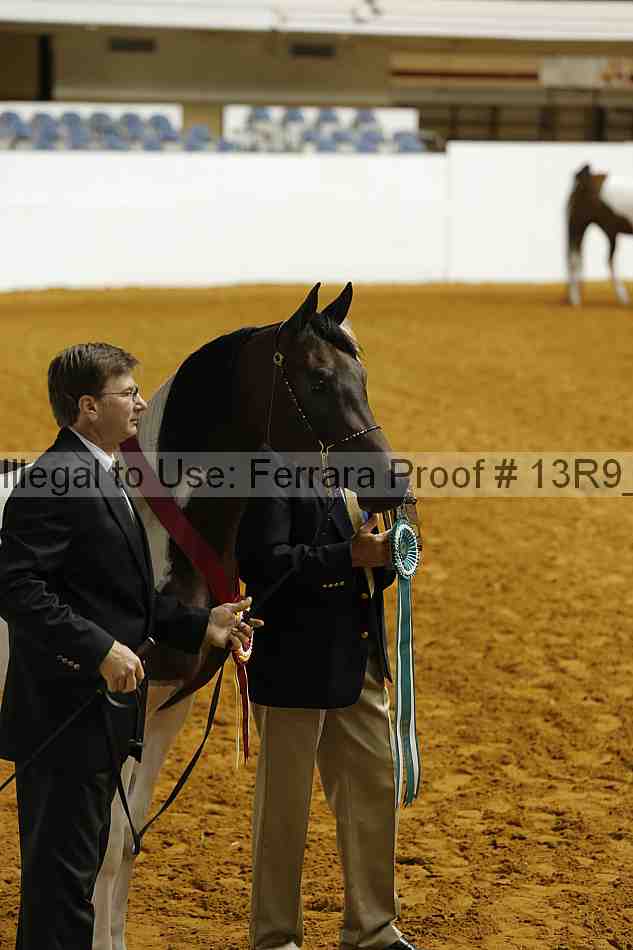 Proof 13r9_1658