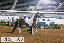 13r9_1668 proof