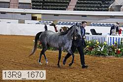 13r9_1670 proof