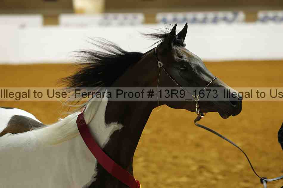 Proof 13r9_1673