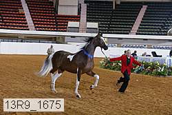 13r9_1675 proof