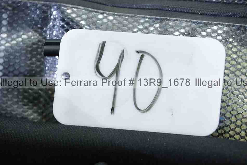 Proof 13r9_1678