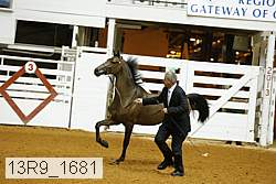 13r9_1681 proof