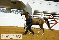 13r9_1682 proof