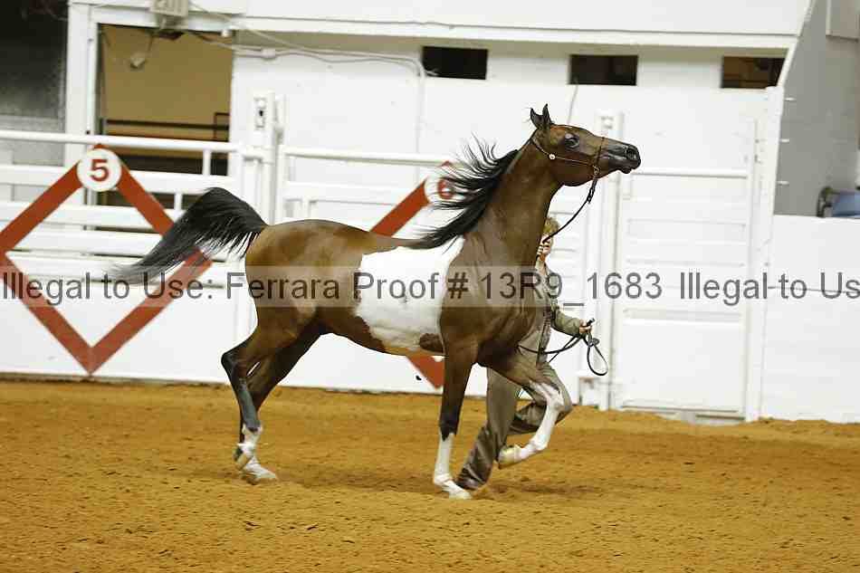 Proof 13r9_1683