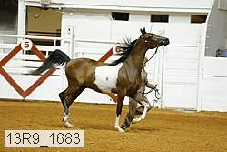 13r9_1683 proof