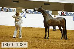 13r9_1686 proof