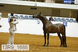 13r9_1688 proof