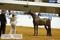13r9_1689 proof