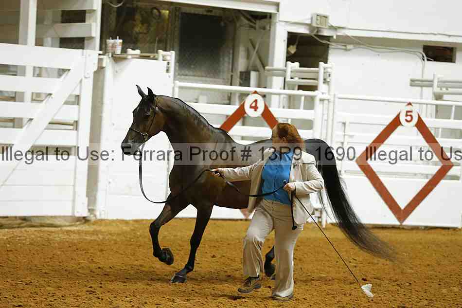 Proof 13r9_1690