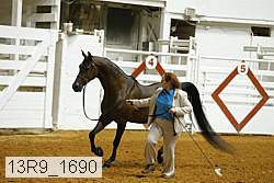 13r9_1690 proof