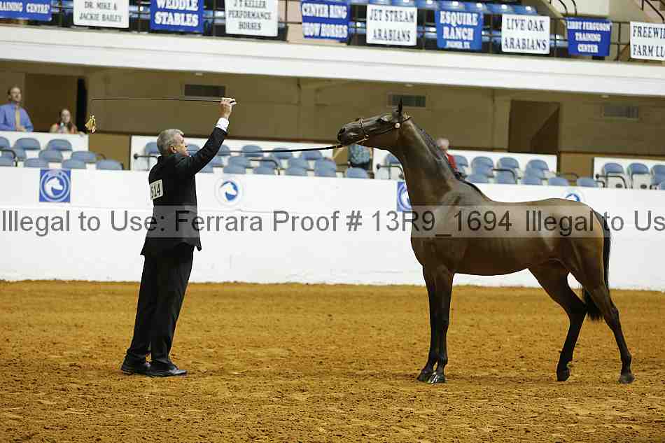 Proof 13r9_1694