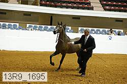13r9_1695 proof