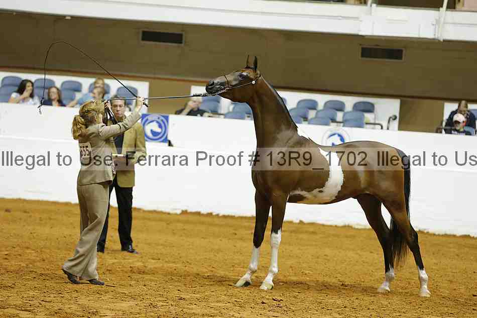 Proof 13r9_1702