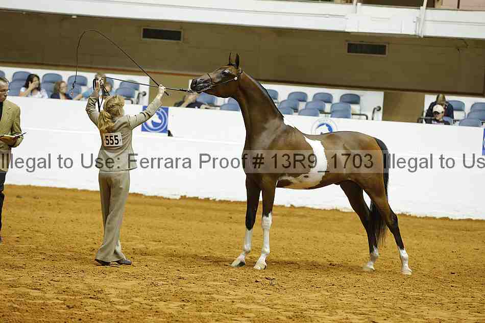 Proof 13r9_1703