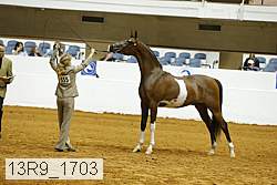 13r9_1703 proof