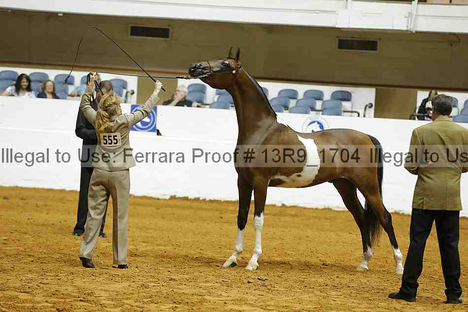 Proof 13r9_1704