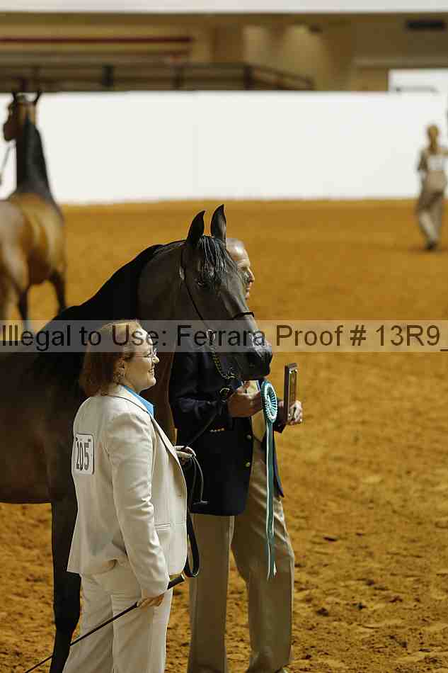 Proof 13r9_1706