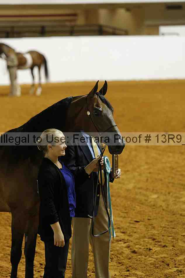Proof 13r9_1709