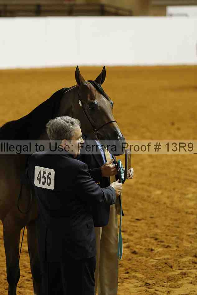 Proof 13r9_1713