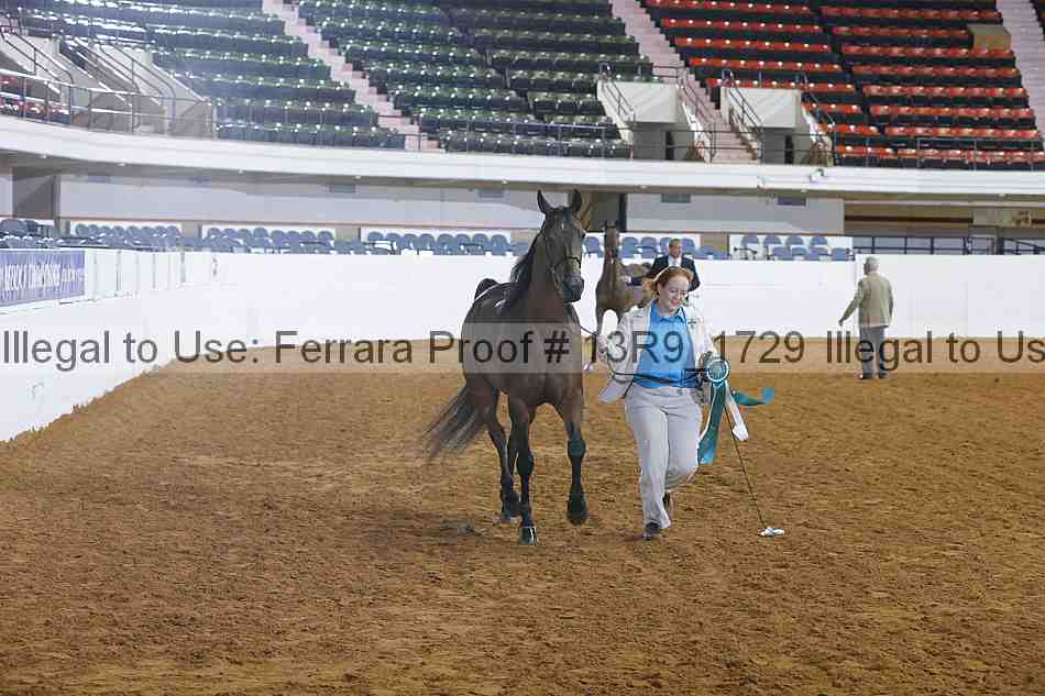 Proof 13r9_1729