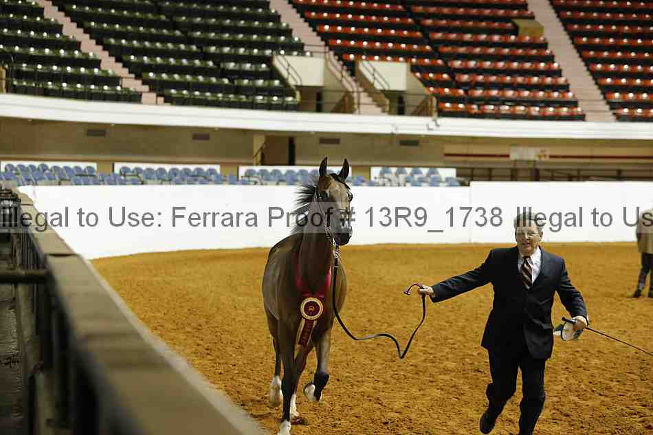 Proof 13r9_1738