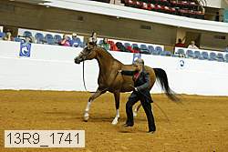 13r9_1741 proof