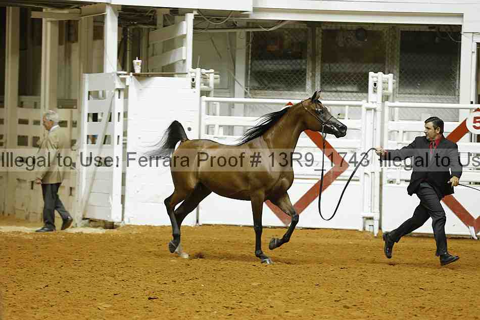 Proof 13r9_1743