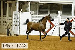 13r9_1743 proof