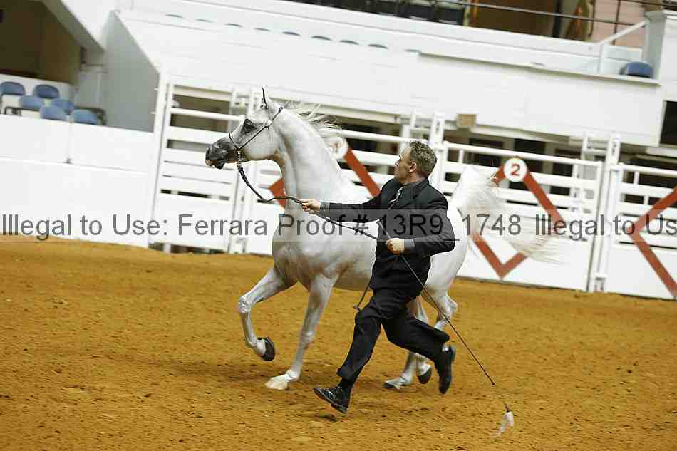 Proof 13r9_1748