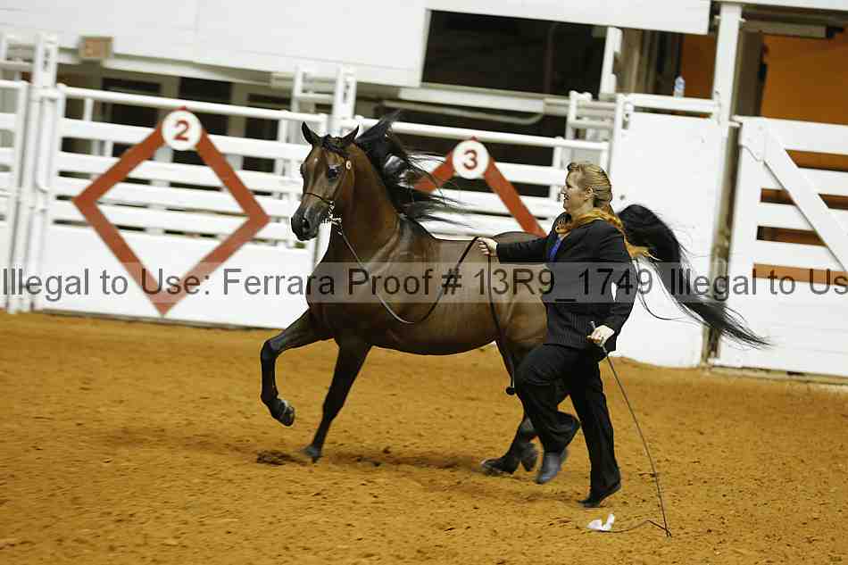 Proof 13r9_1749