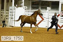 13r9_1750 proof