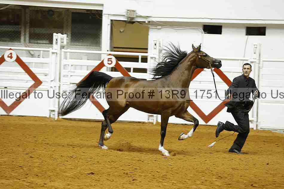 Proof 13r9_1751