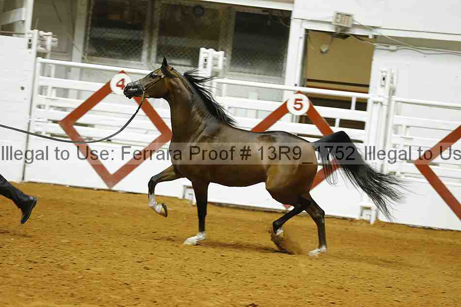 Proof 13r9_1752