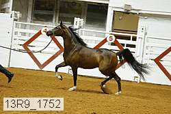 13r9_1752 proof