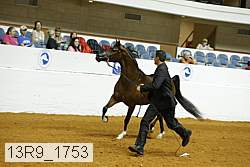 13r9_1753 proof
