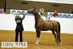 13r9_1754 proof