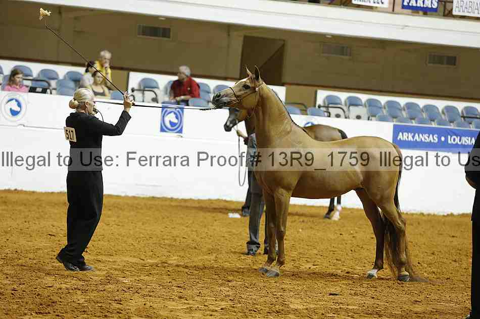 Proof 13r9_1759