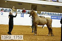 13r9_1759 proof
