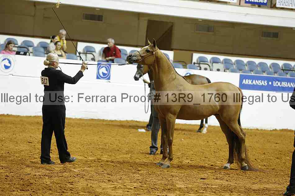 Proof 13r9_1760