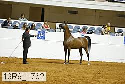 13r9_1762 proof