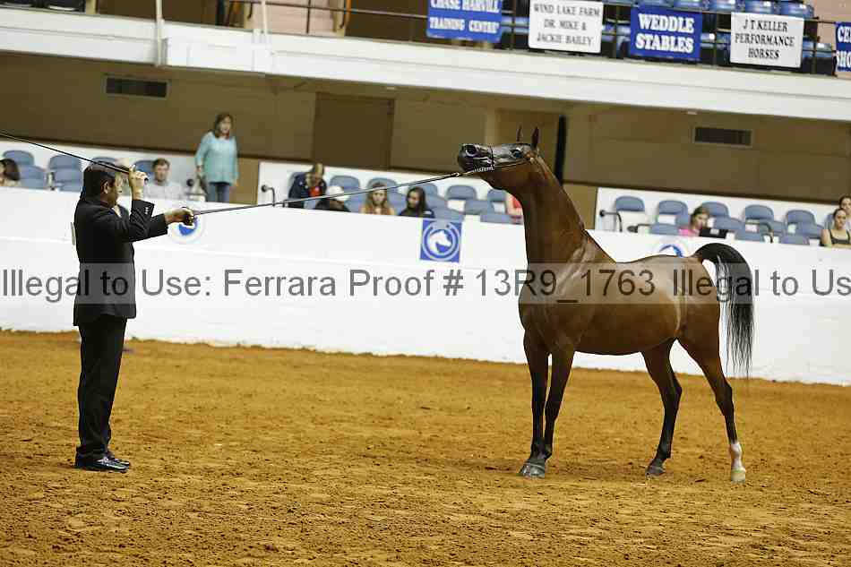 Proof 13r9_1763