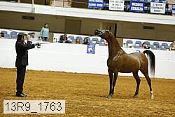 13r9_1763 proof