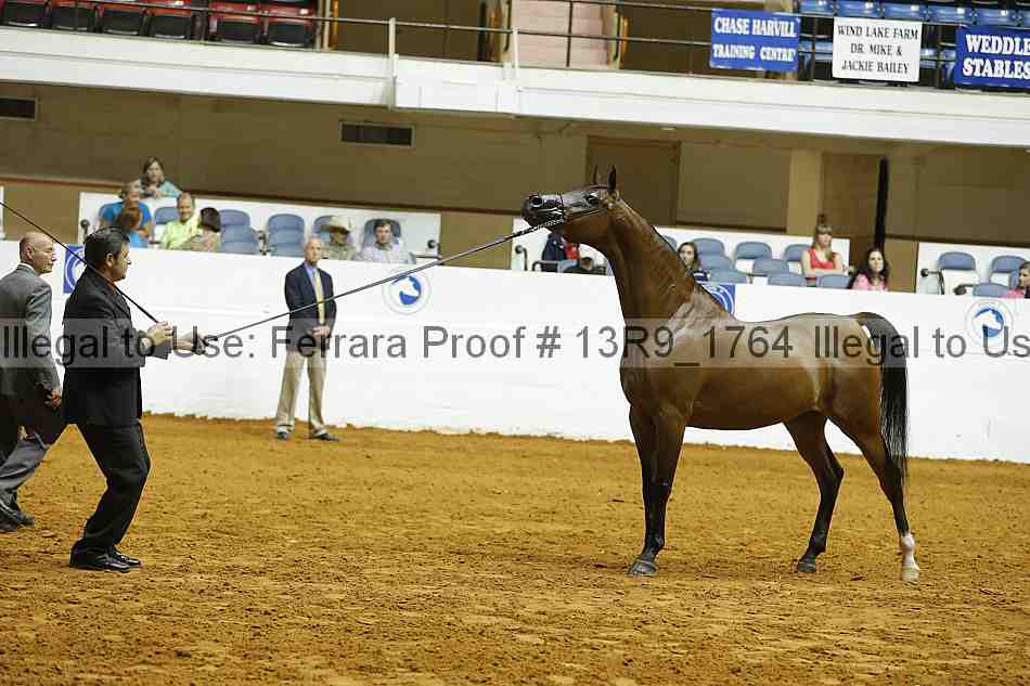 Proof 13r9_1764