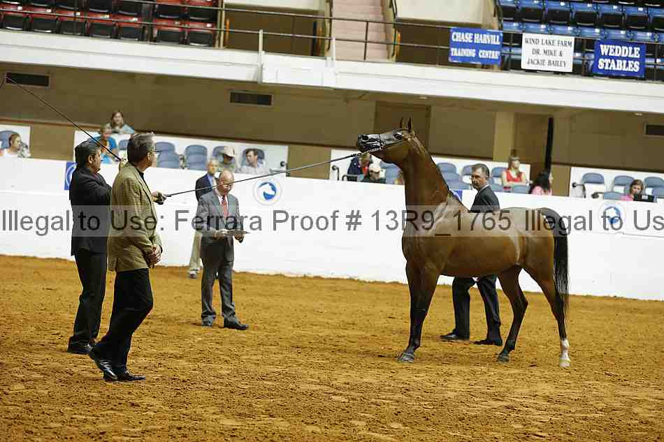 Proof 13r9_1765