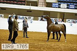 13r9_1765 proof