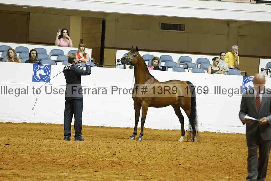 Proof 13r9_1769