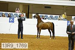 13r9_1769 proof