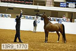 13r9_1770 proof