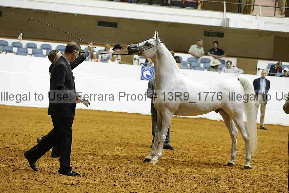 Proof 13r9_1776